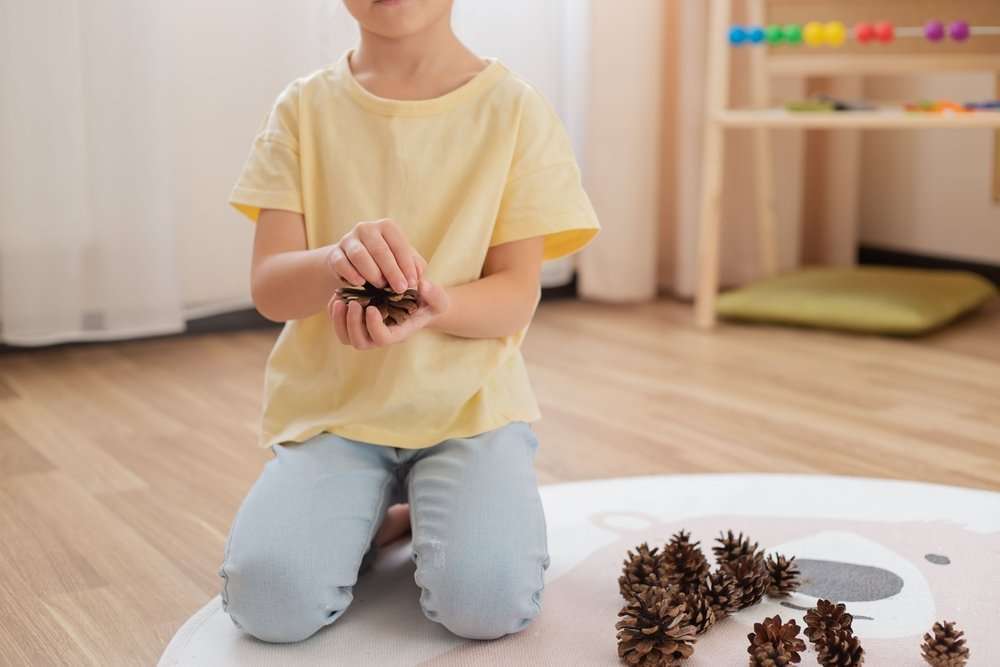 Child Holding Pinecones As A Tactile Exercise For Sensory Overload