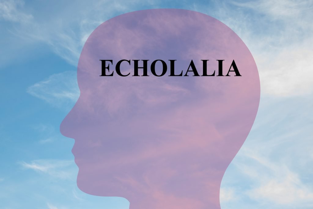 Treat Echolalia in a Child with Autism