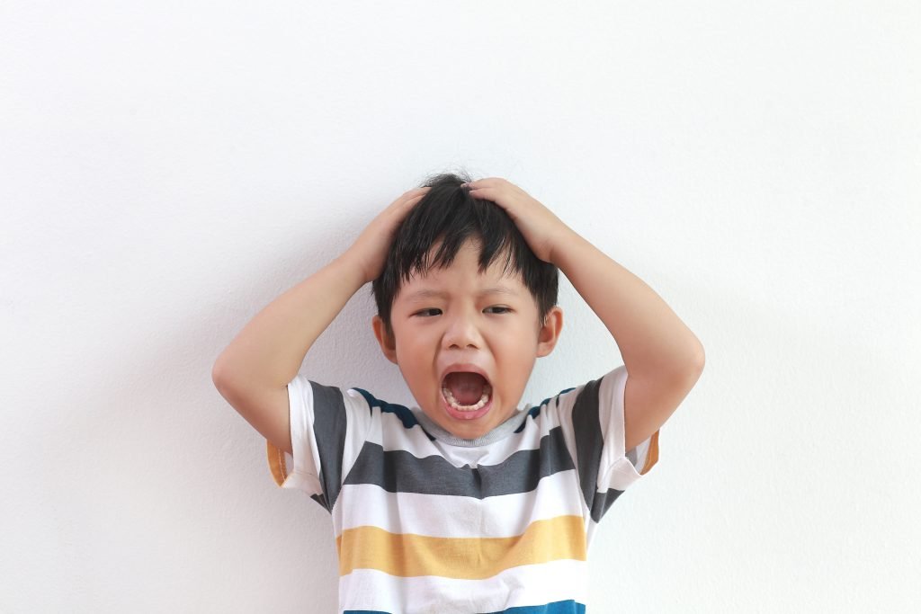 Aggression in Children with Autism